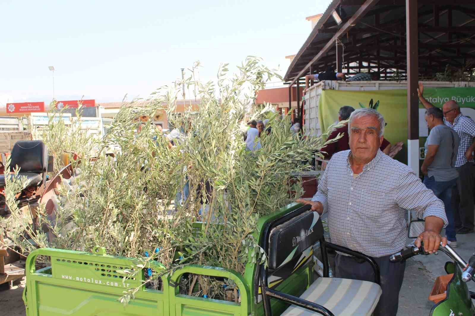 Büyükşehir’den 19 ilçeye 40 bin zeytin fidanı desteği
