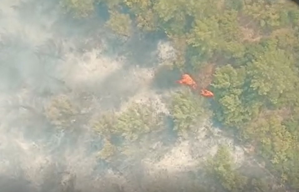 Manisa&rsquo;da orman yangını kontrol altına alındı
