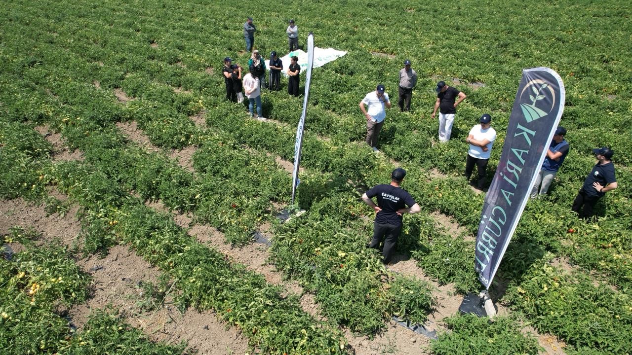 Hem hastalıklardan kurtuldular hem verimi artırdılar
