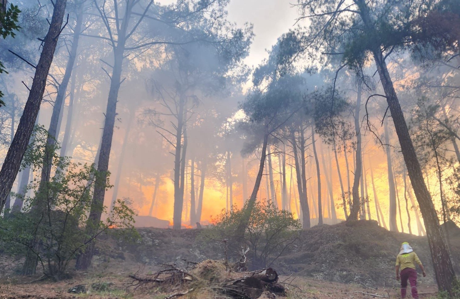 Mersin&rsquo;de kasten orman yangını &ccedil;ıkaran ş&uuml;pheli jandarma ekiplerince yakalandı
