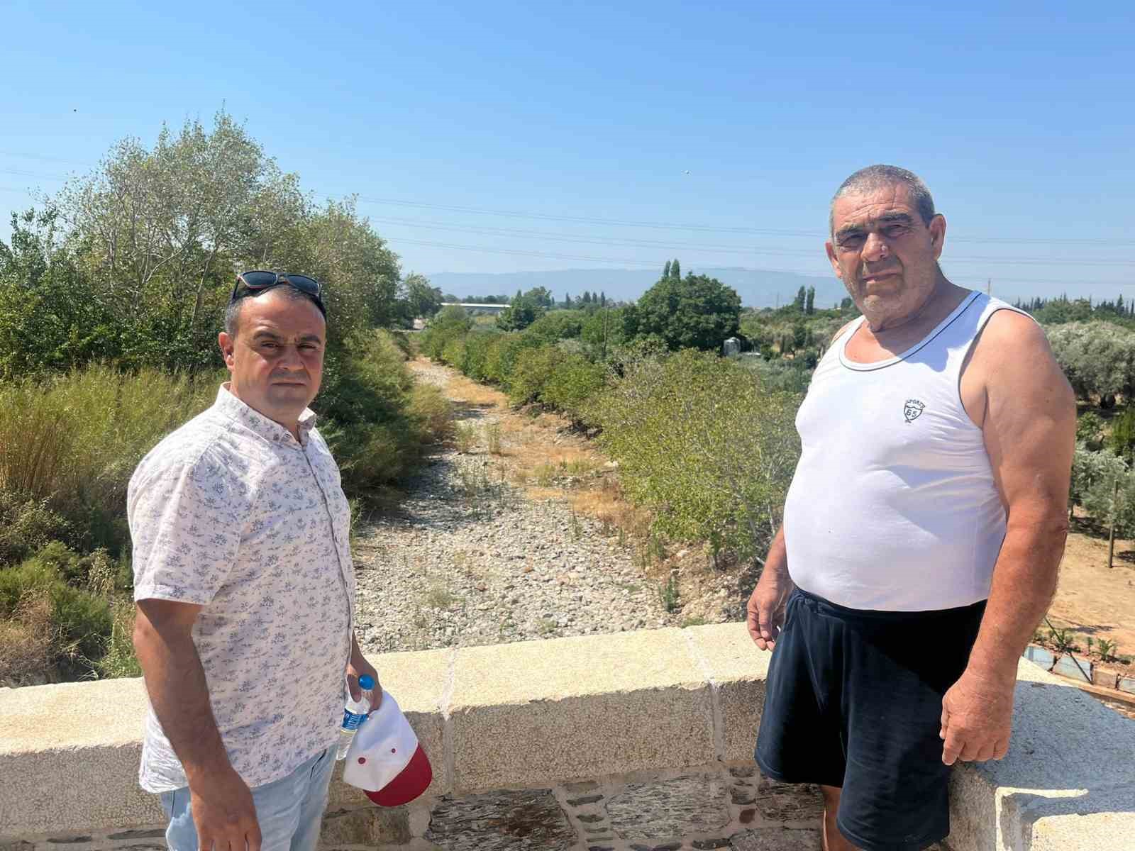 İkizdere Barajı’ndan su bırakılmadı, ağaçlar kurudu