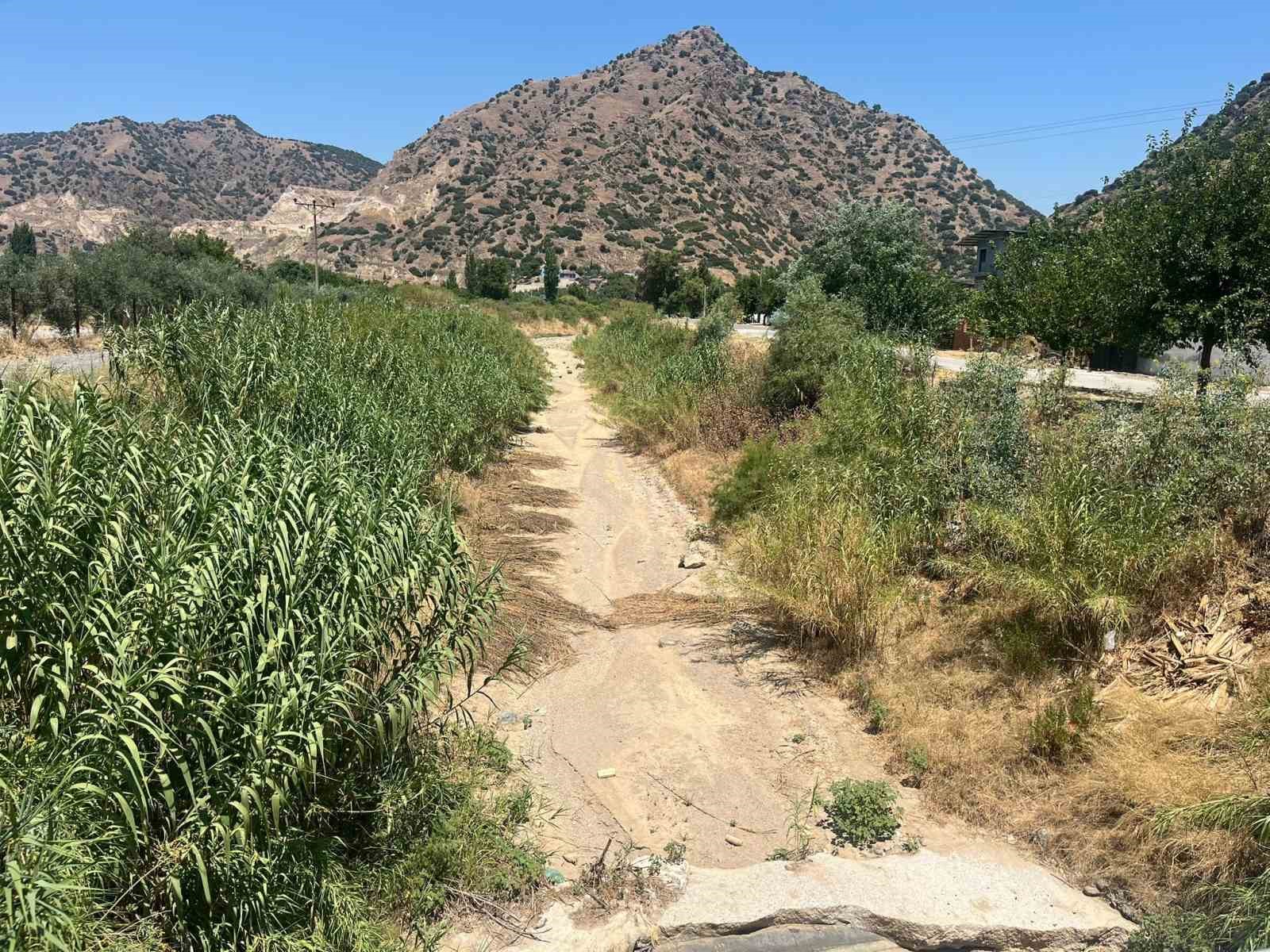 İkizdere Barajı’ndan su bırakılmadı, ağaçlar kurudu