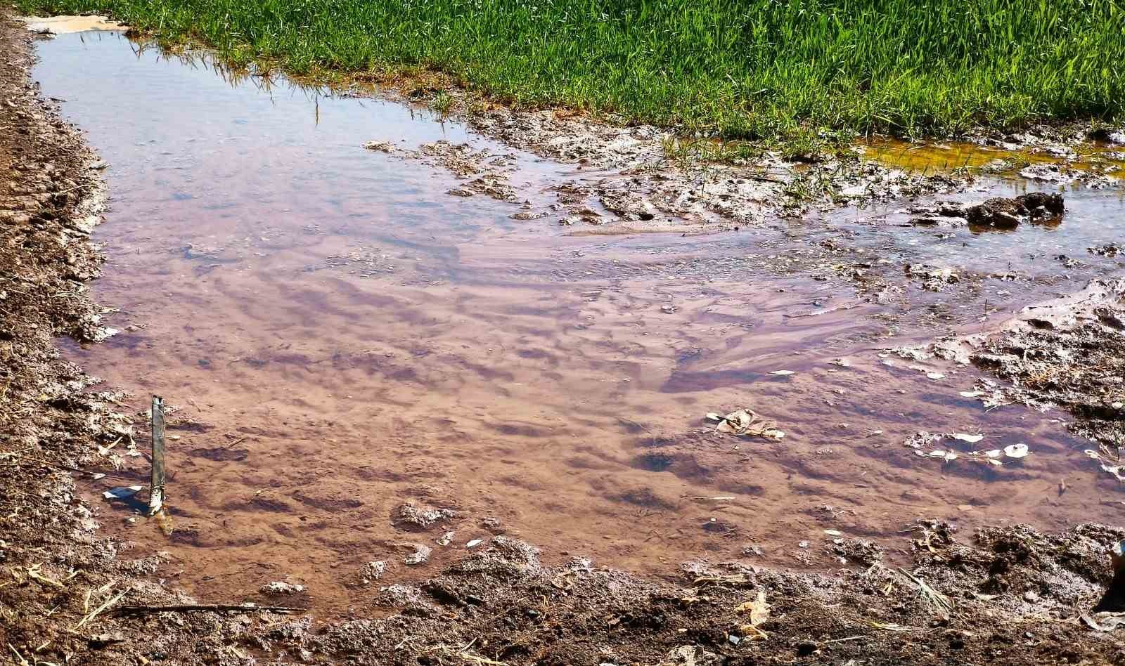 Şanlıurfa’da tarımsal su krizi derinleşiyor