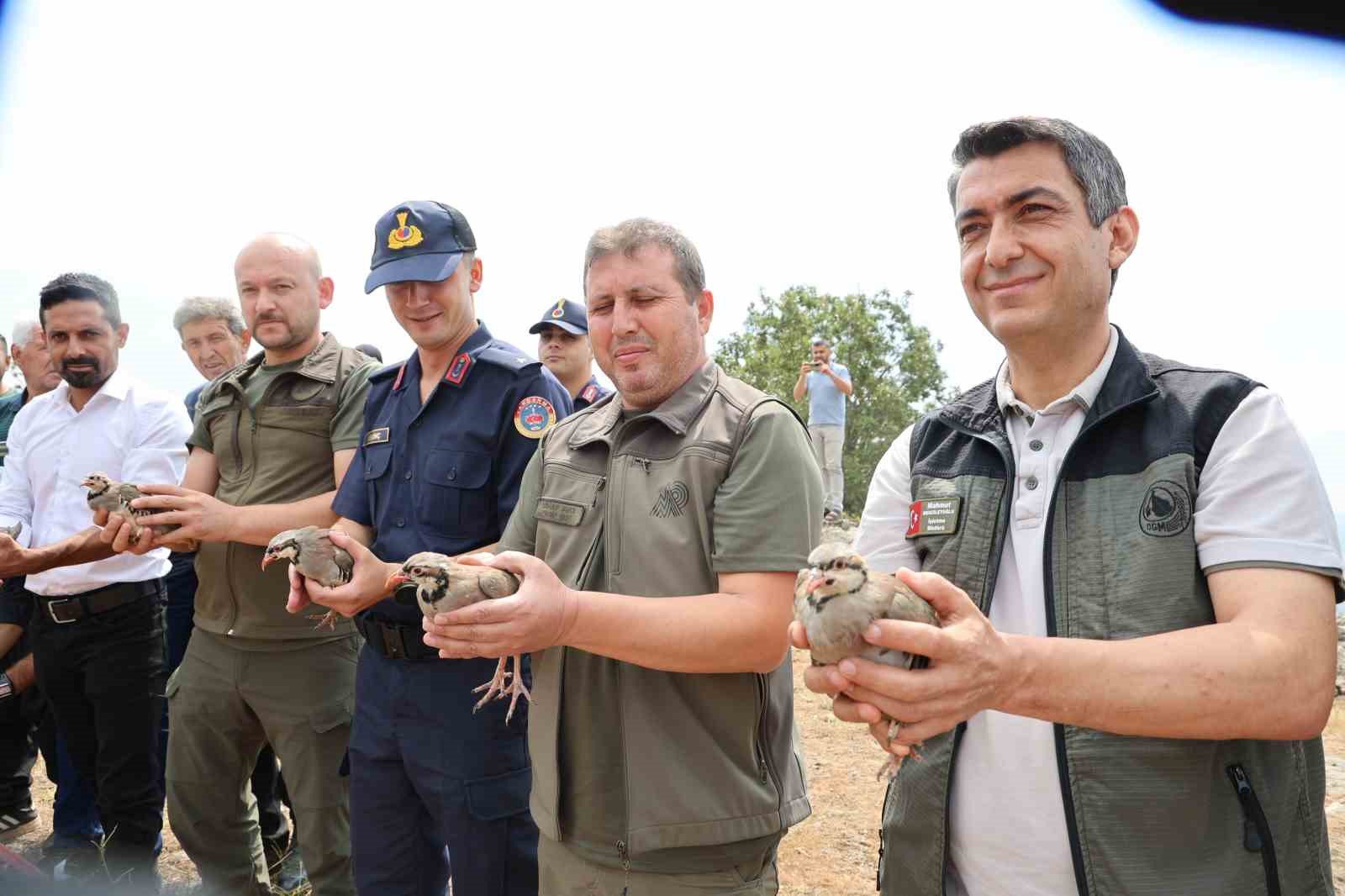 Adana’da doğaya 500 keklik salındı