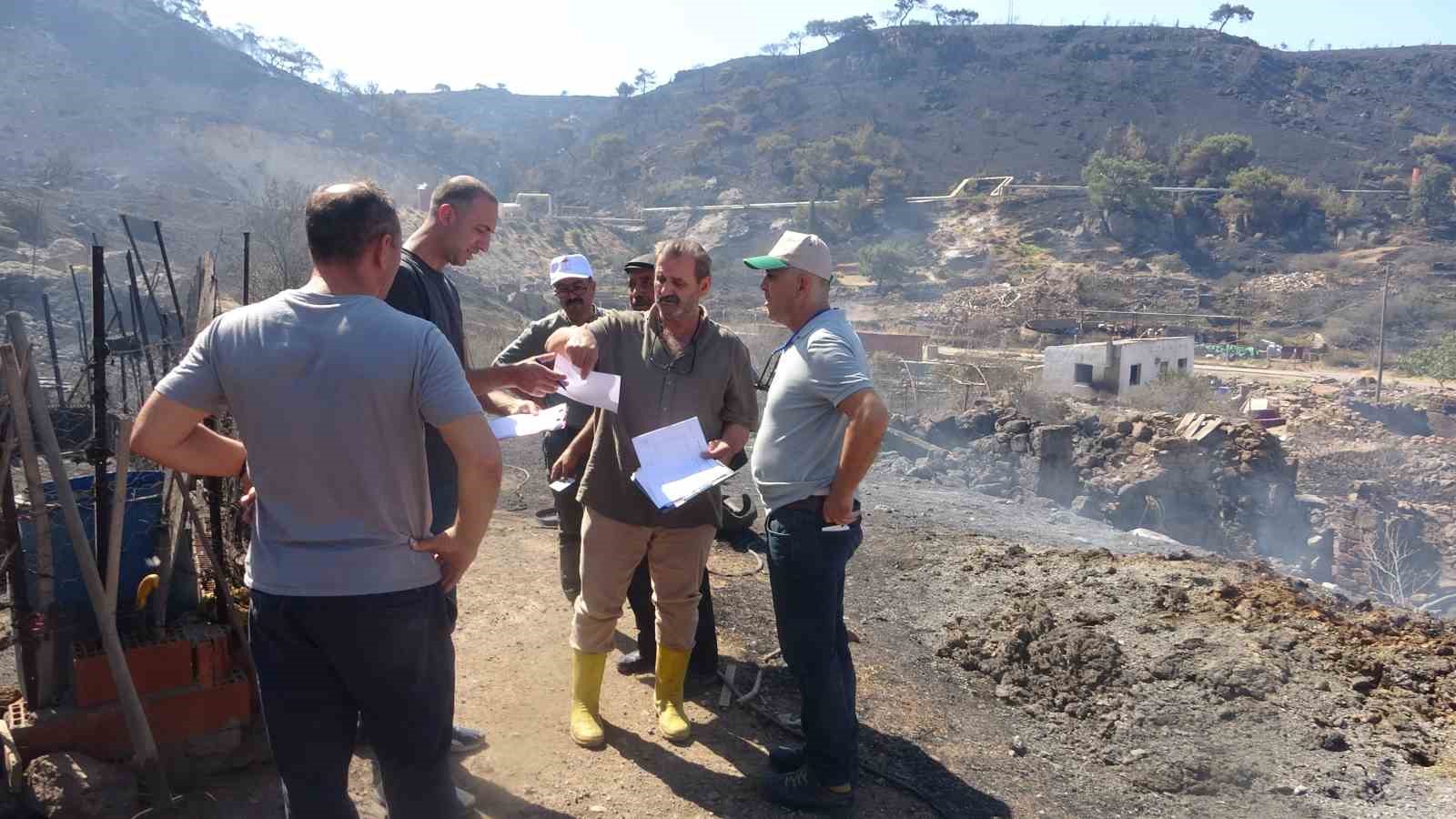 Ayvacık&rsquo;ta yangından etkilenen alanlarda hasar tespit &ccedil;alışmaları başladı
