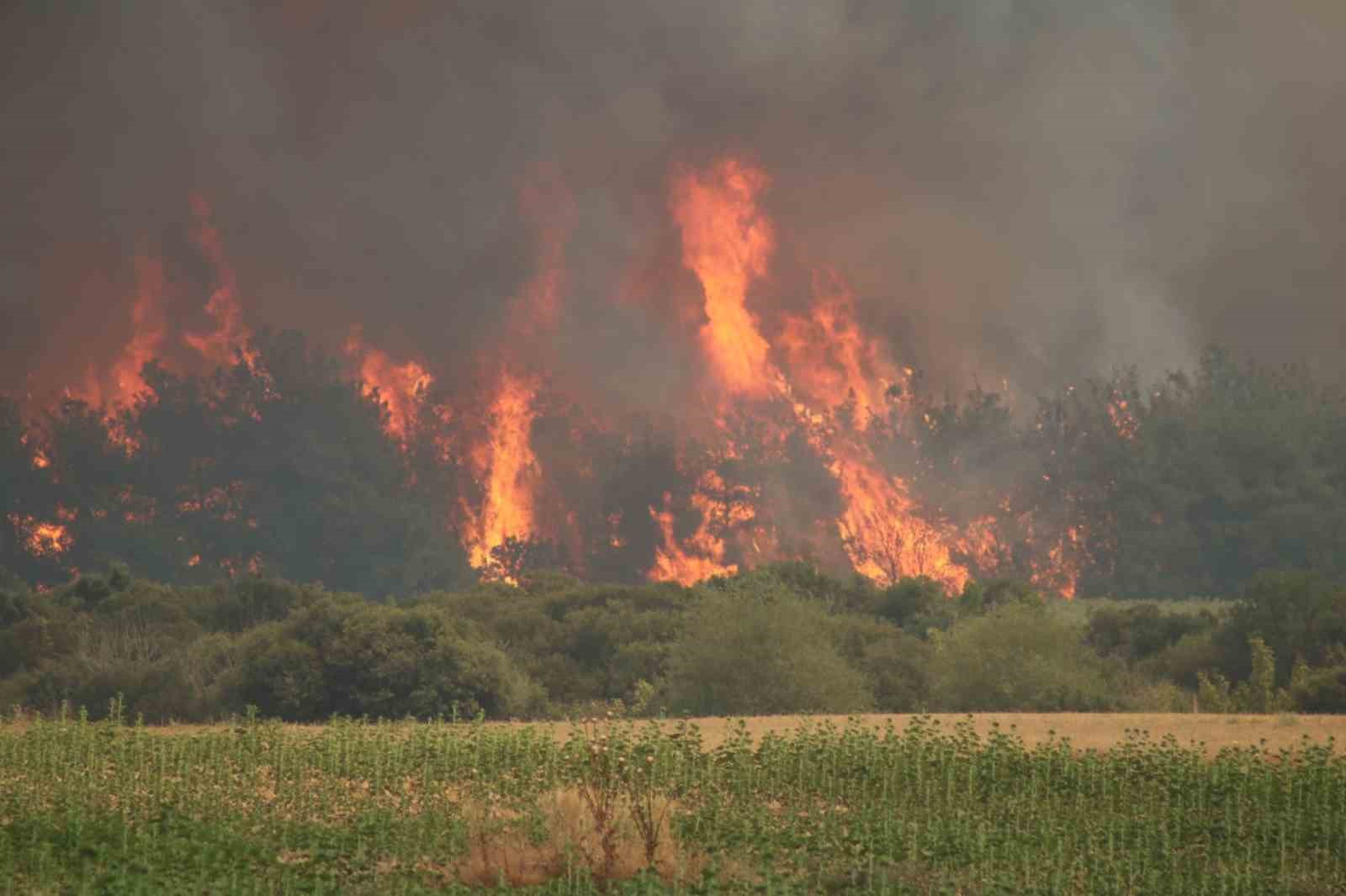 Tekirdağ Şarköy yangınında Çanakkale-Malkara otoyolunun Kavakköy kavşağı kısmında trafik akışı geçici olarak alternatif yollara yönlendiriliyor