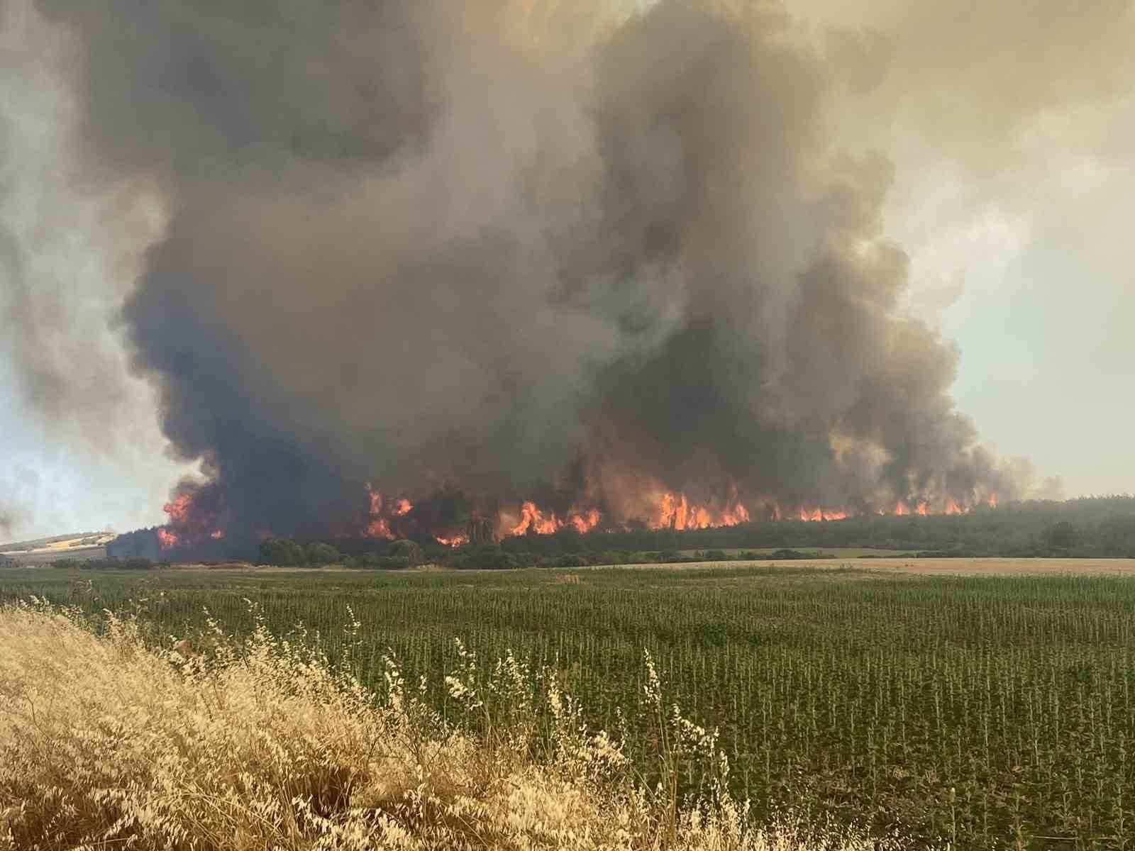 Tekirdağ Şarköy yangınında Çanakkale-Malkara otoyolunun Kavakköy kavşağı kısmında trafik akışı geçici olarak alternatif yollara yönlendiriliyor