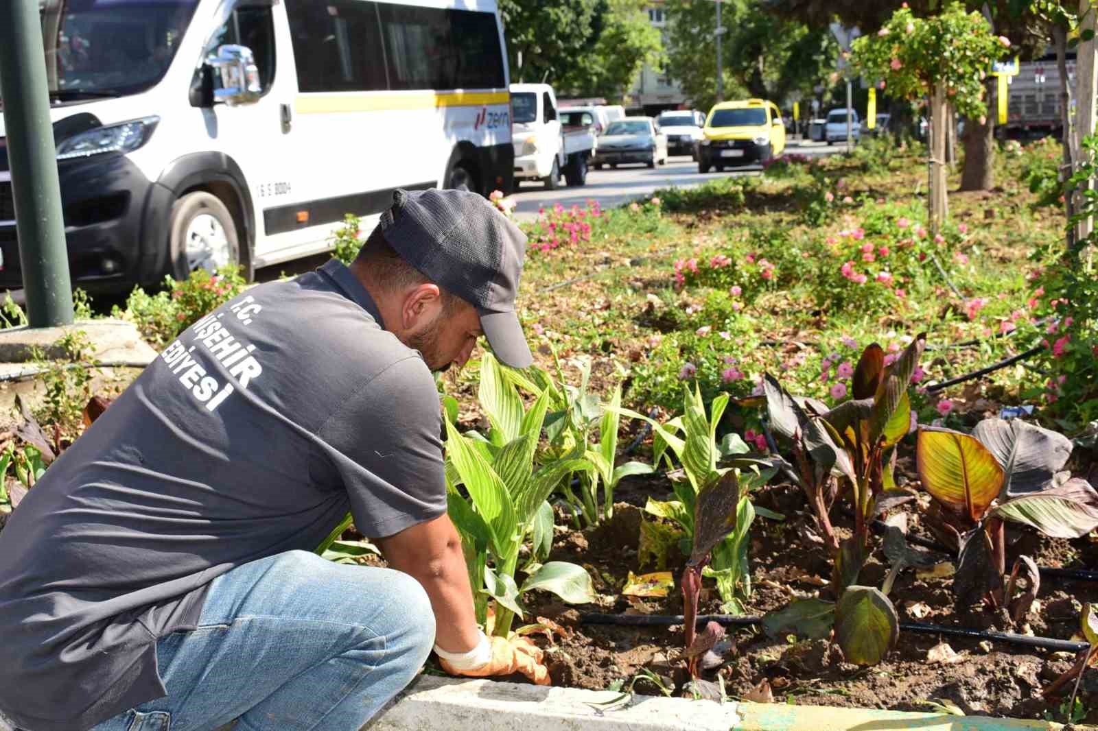 Yenişehir&rsquo;in kalbi &ccedil;i&ccedil;ek a&ccedil;tı
