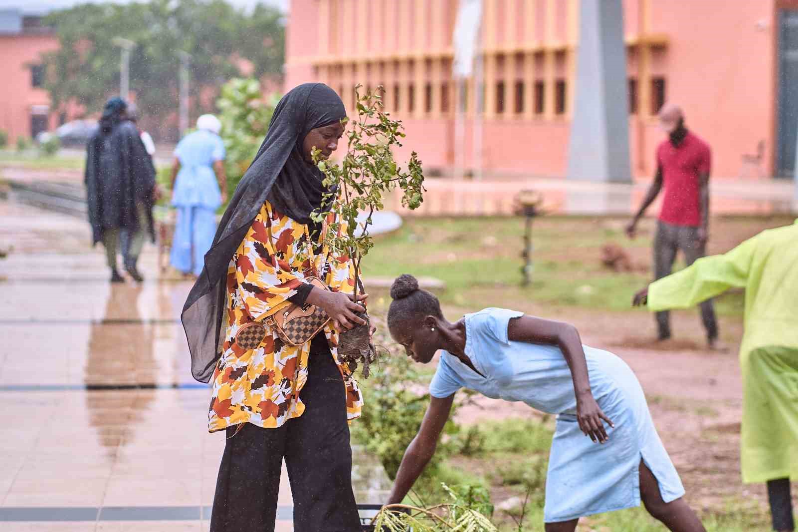 TİKA’dan Gambiya’da "15 Temmuz Demokrasi Yolu" ağaçlandırma projesi