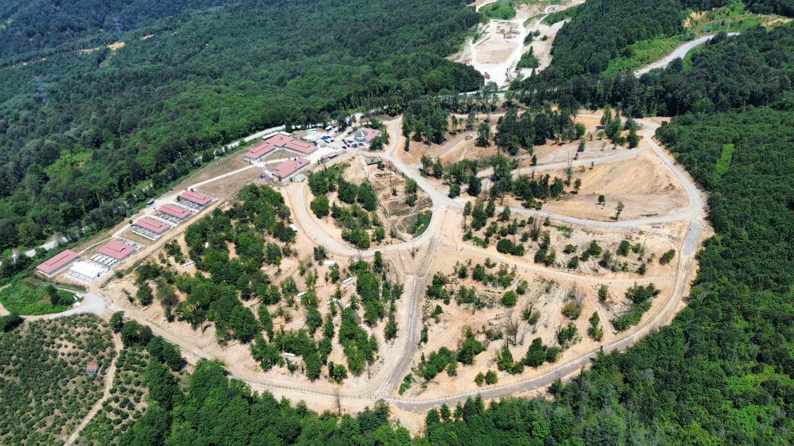 Sokak hayvanlarına tabiatla iç içe yaşam alanı