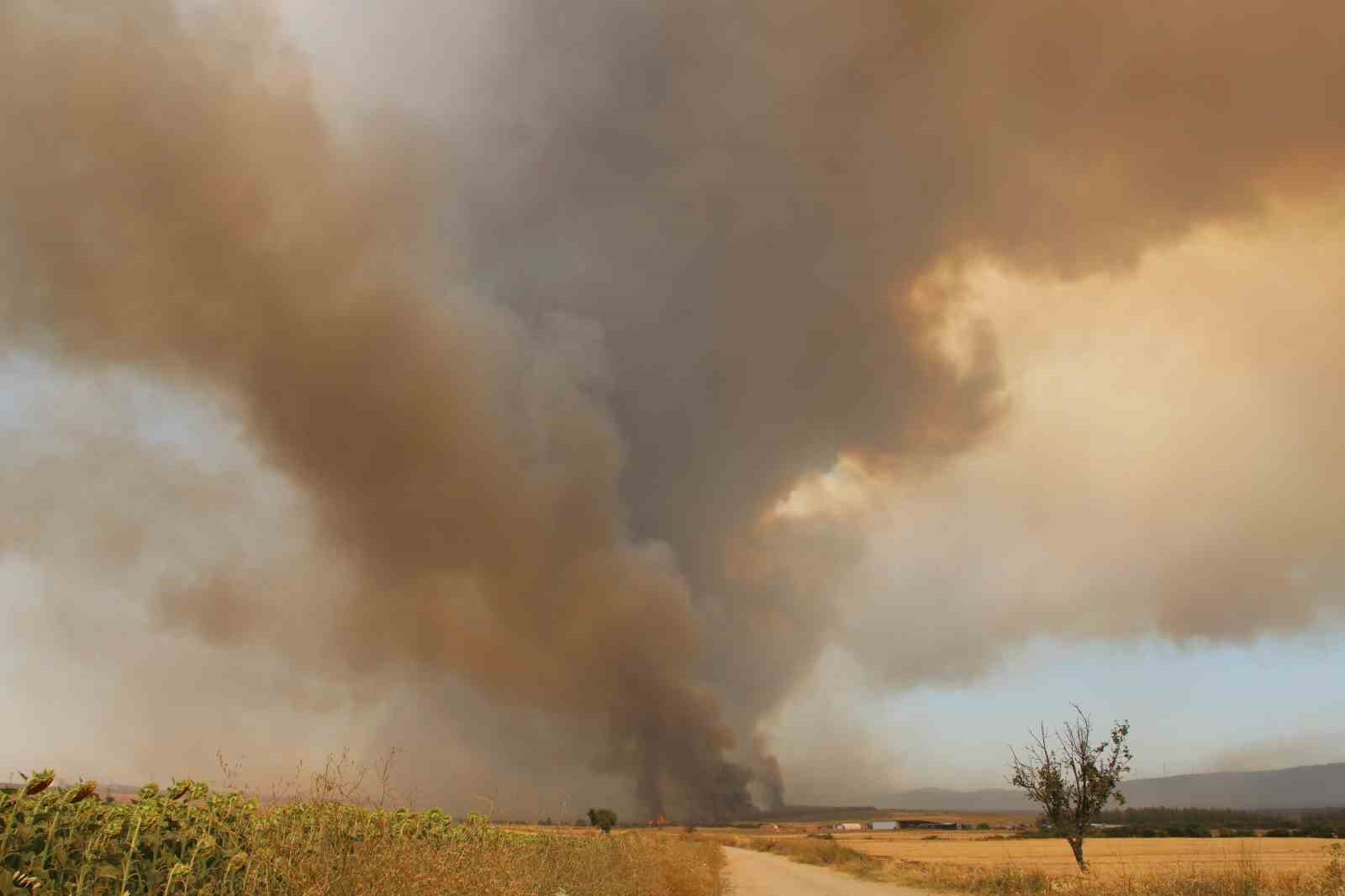 Çanakkale’deki yangında köylüler hayvanlarını korumak için tarlalarda bekletiyor