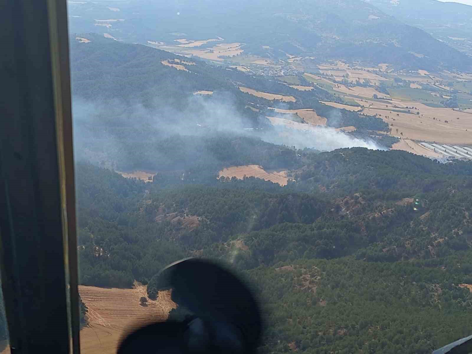 Bolu’da orman yangını