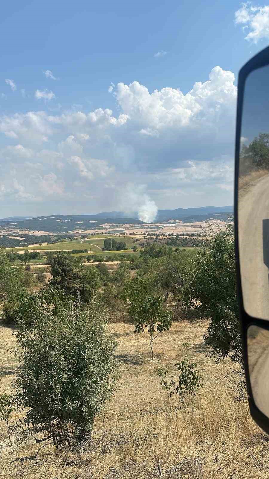 Bolu’da orman yangını