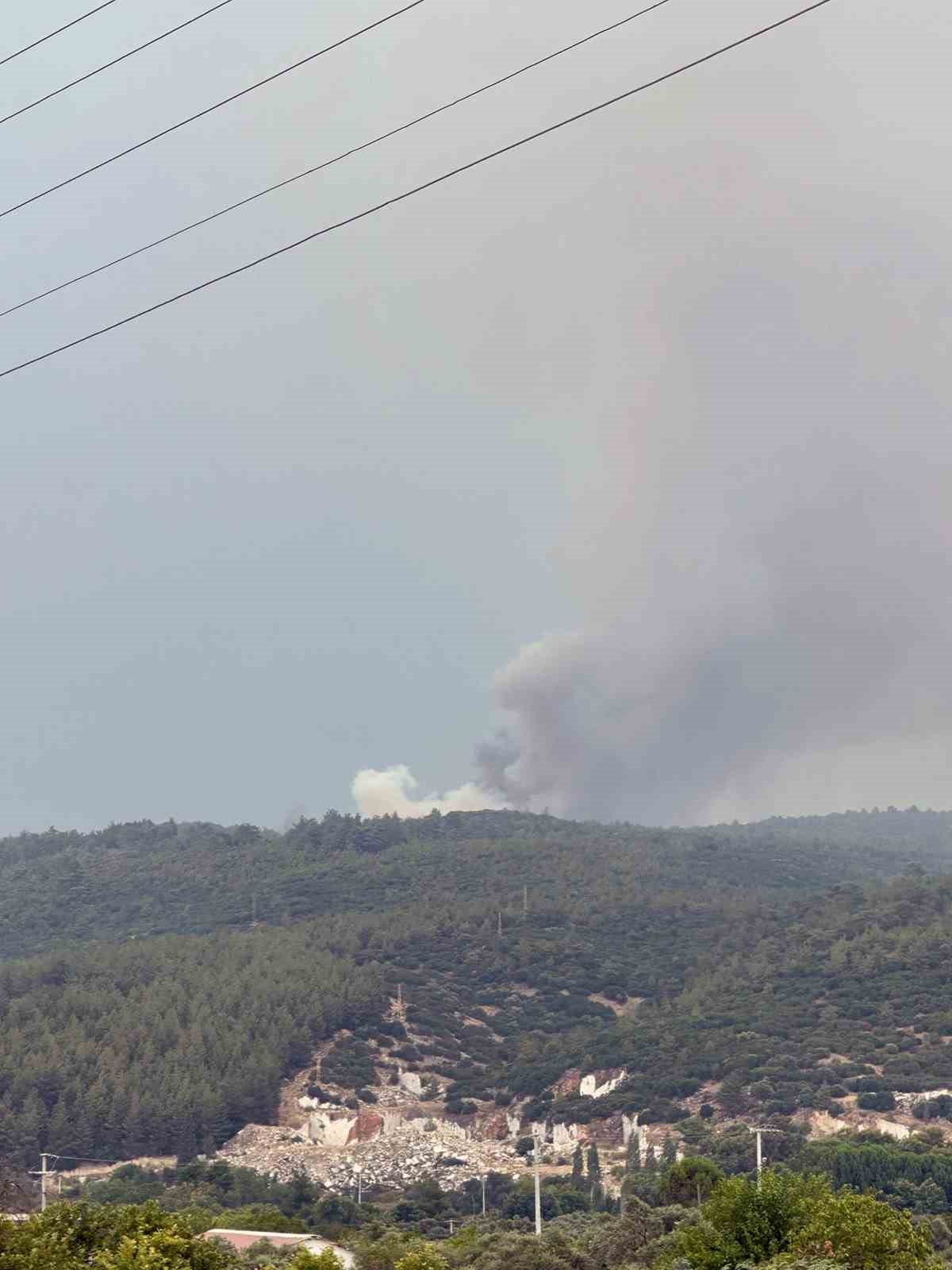 Yatağan’da yıldırım yangını