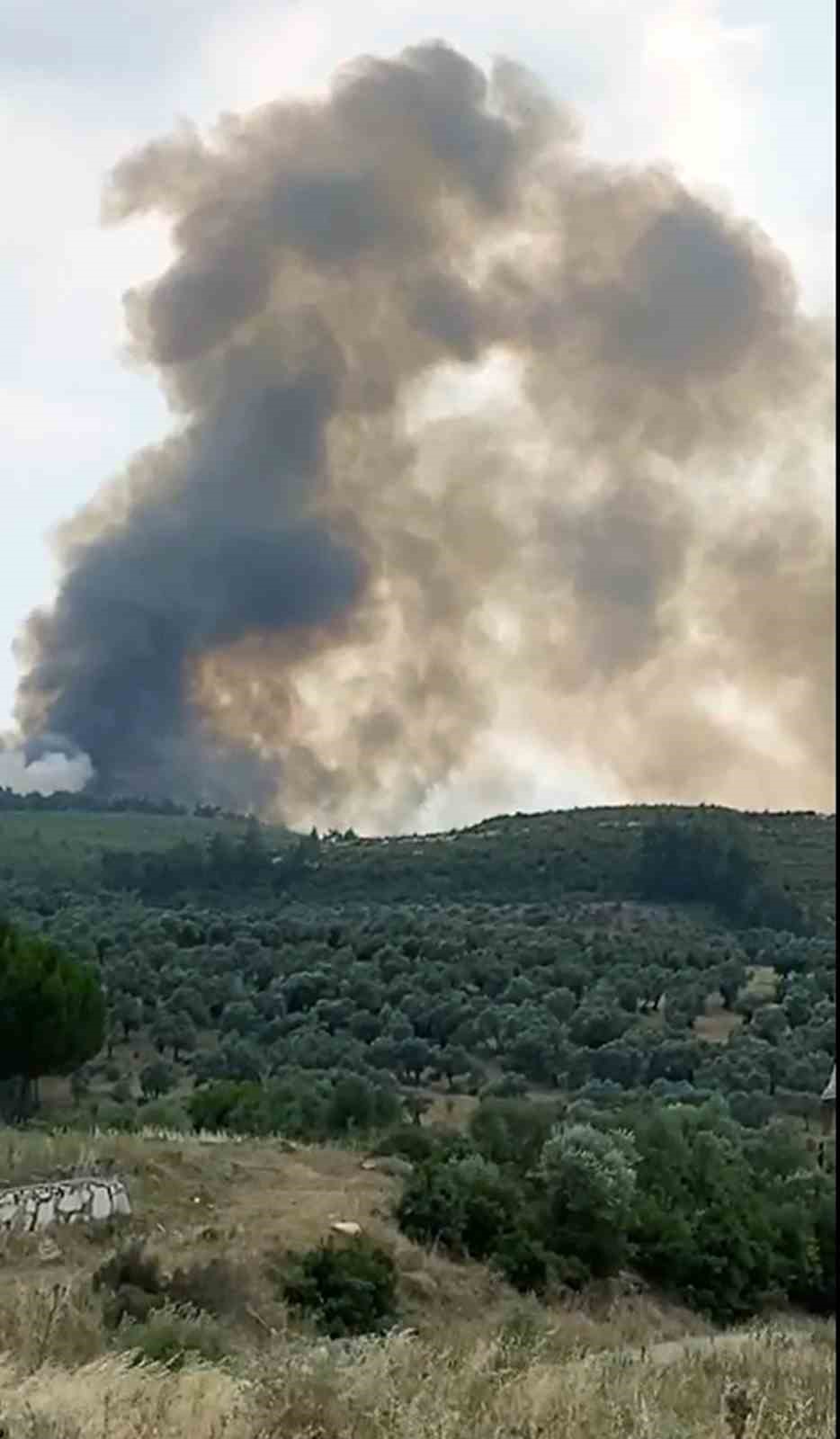 Yatağan&rsquo;da yıldırım yangını
