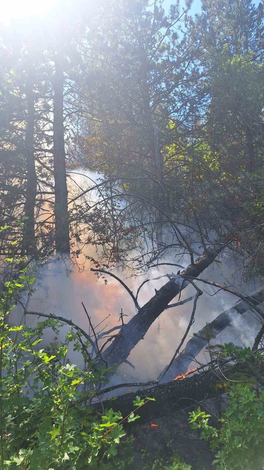 Kastamonu’da çıkan orman yangınında 2 dekar alan zarar gördü