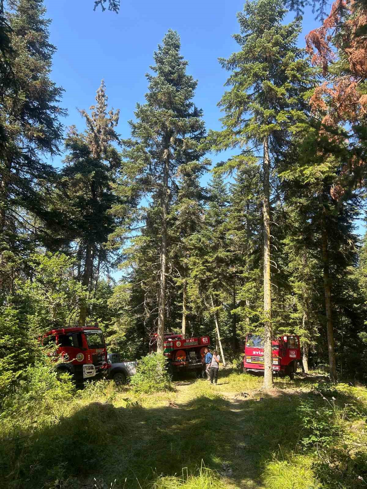Kastamonu’da çıkan orman yangınında 2 dekar alan zarar gördü