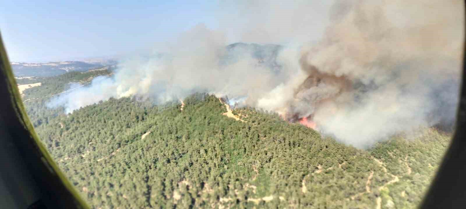 Altıeylül’de orman yangını