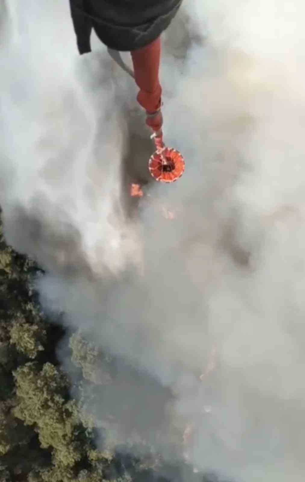 Altıeylül’de orman yangını