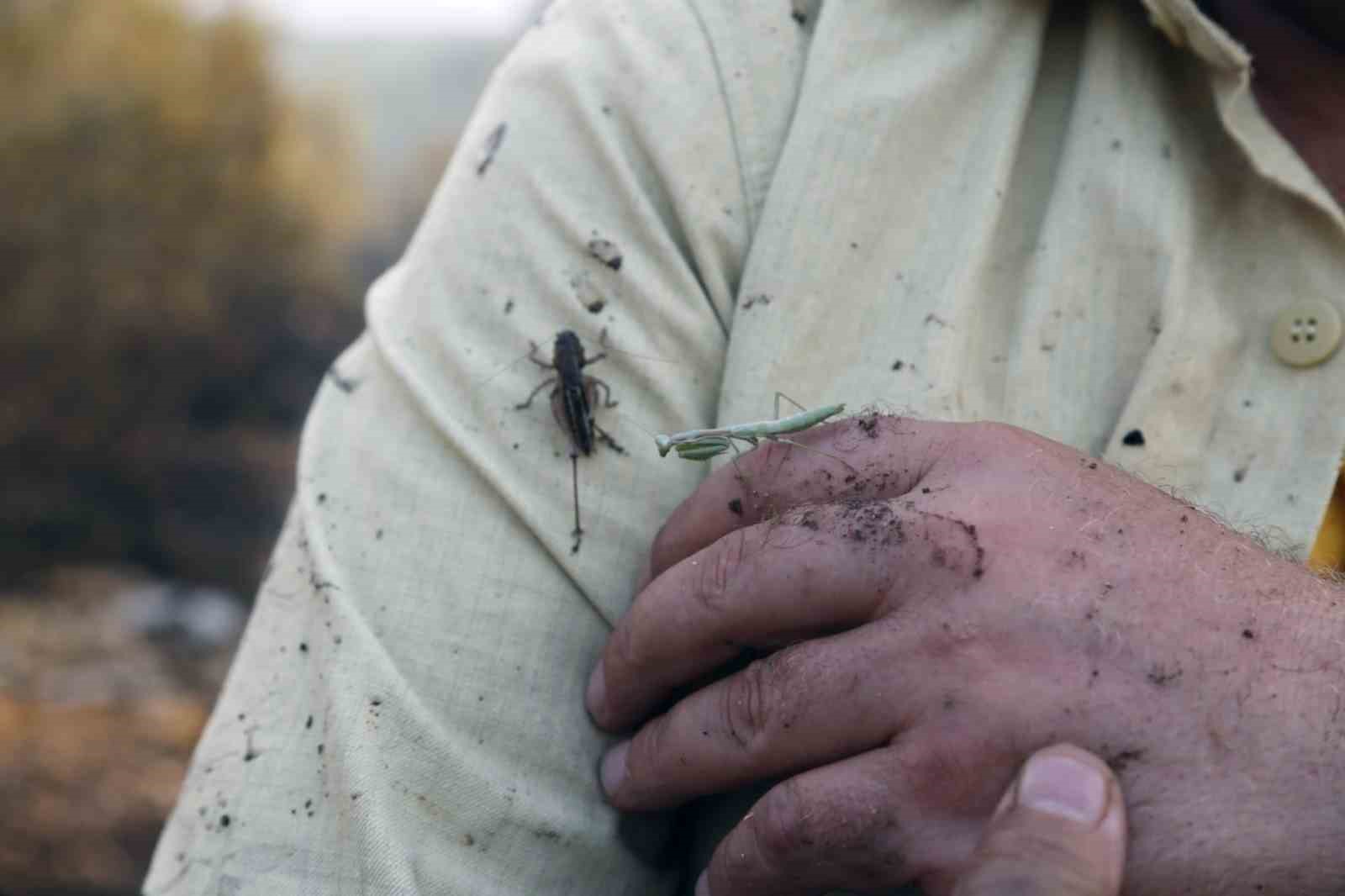 Yatağan’daki orman yangını kontrol altına alındı, soğutma çalışmaları sürüyor
