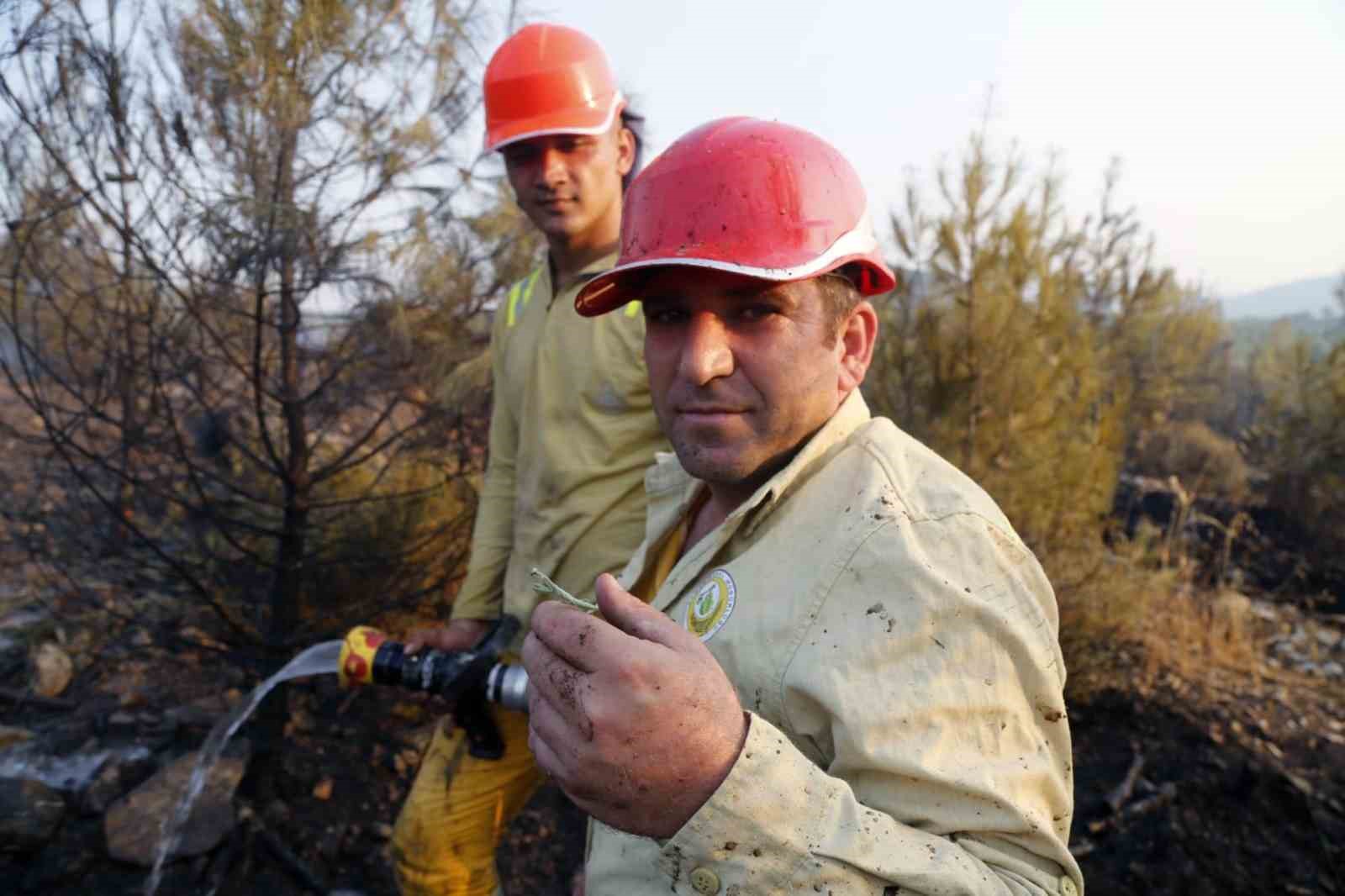Yatağan&rsquo;daki orman yangını kontrol altına alındı, soğutma &ccedil;alışmaları s&uuml;r&uuml;yor
