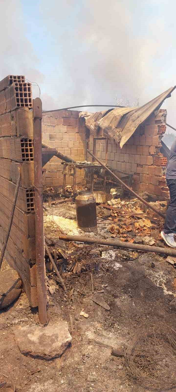 Bakan Kurum: "3 ilde hasar tespit çalışmaları sürüyor, ilk belirlemelere göre 9’u konut 26 yapı hasar gördü"