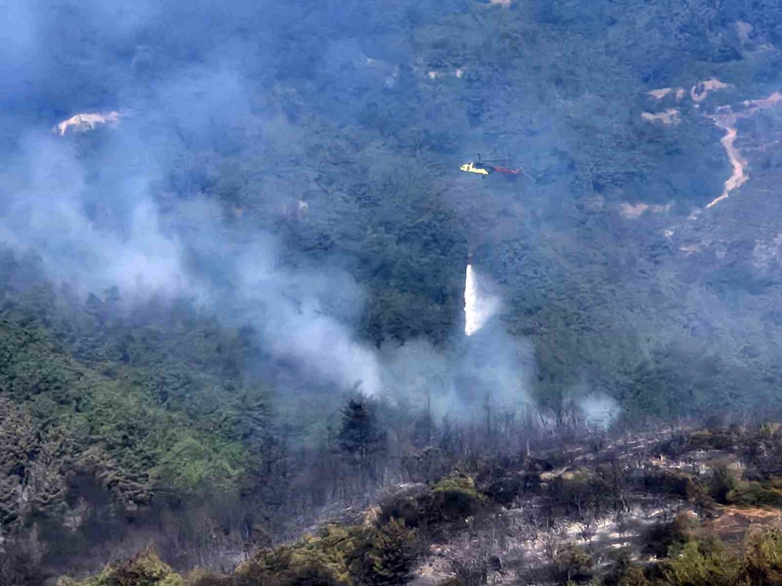 Balıkesir’deki orman yangınına havadan müdahale tekrar başladı