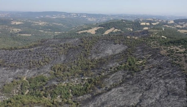 Altıeylül’deki yangın havadan görüntülendi
