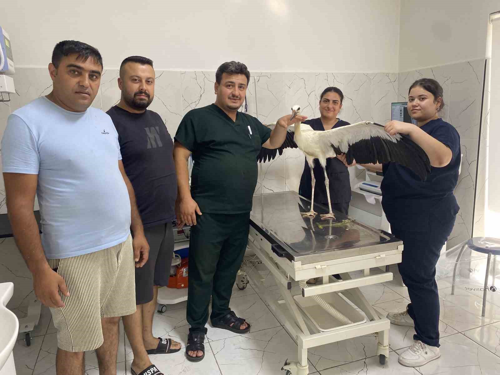 Alaşehir’de susuz kalan leylek kurtarıldı