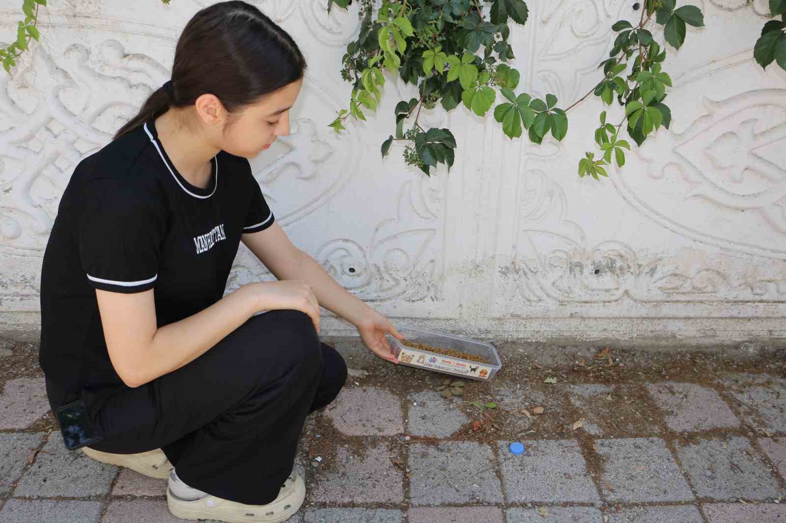 Diyarbakır’ın kavurucu sıcağında sokak hayvanları unutulmadı