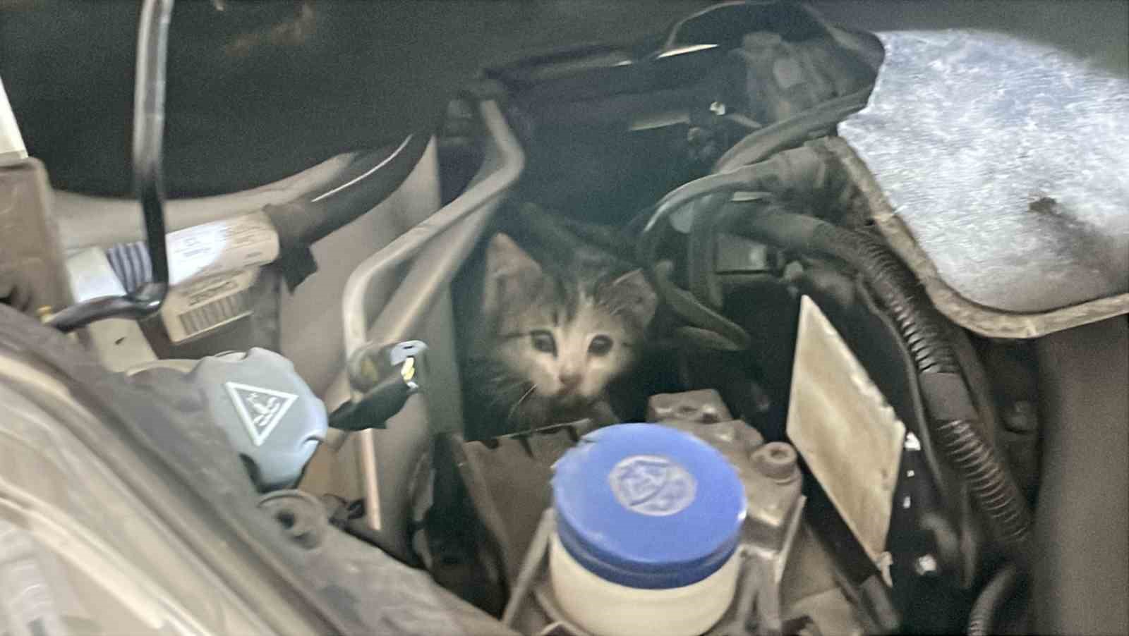 İtfaiye istasyonuna giderek yardım istedi, aracının motor kısmından kedi çıktı