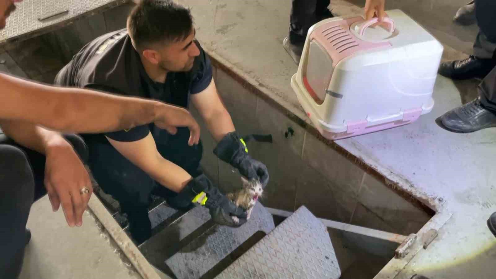 İtfaiye istasyonuna giderek yardım istedi, aracının motor kısmından kedi çıktı