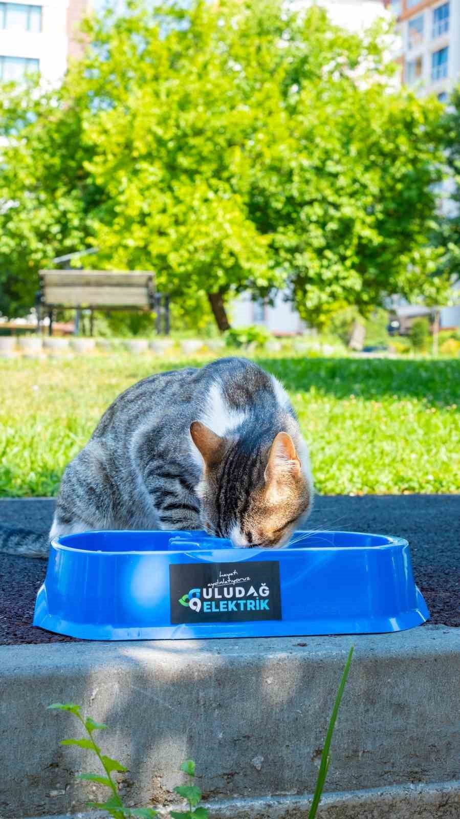 Sıcak yaz günlerinde can dostlara destek