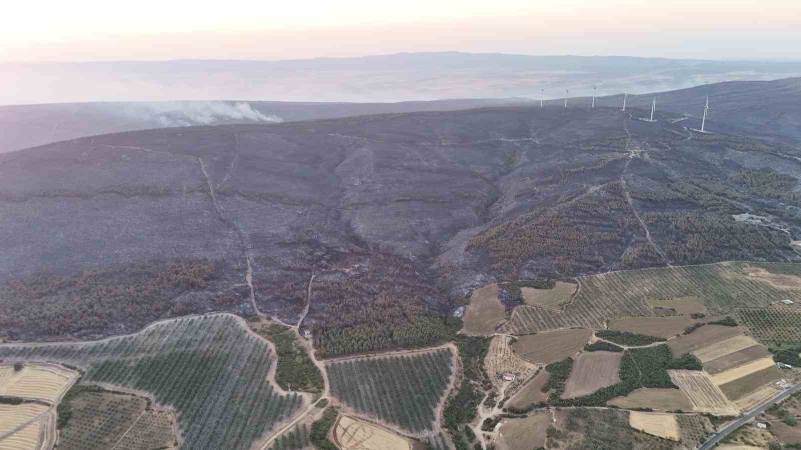 Şarköy’deki orman yangını kontrol altına alındı