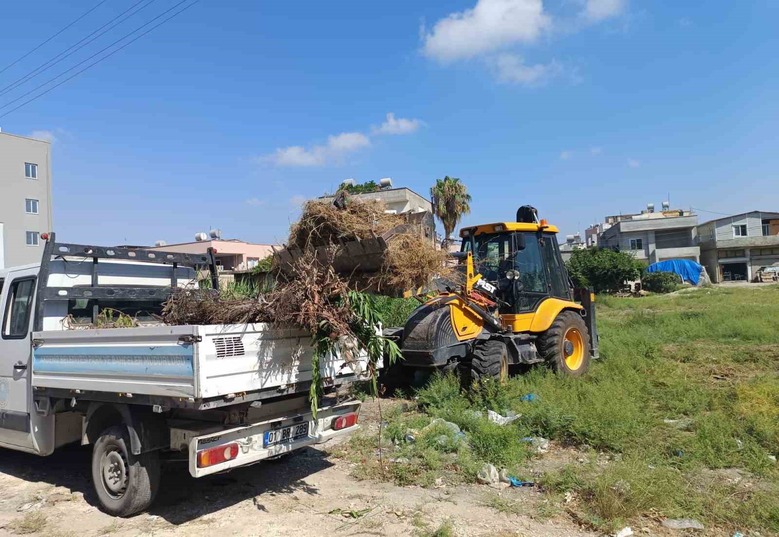 Akdeniz’de moloz ve yabani ot temizliği sürüyor