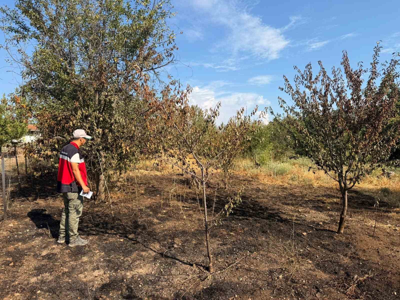 Şaphane’de meyve bahçesindeki yangın sonrası hasar tespit çalışması