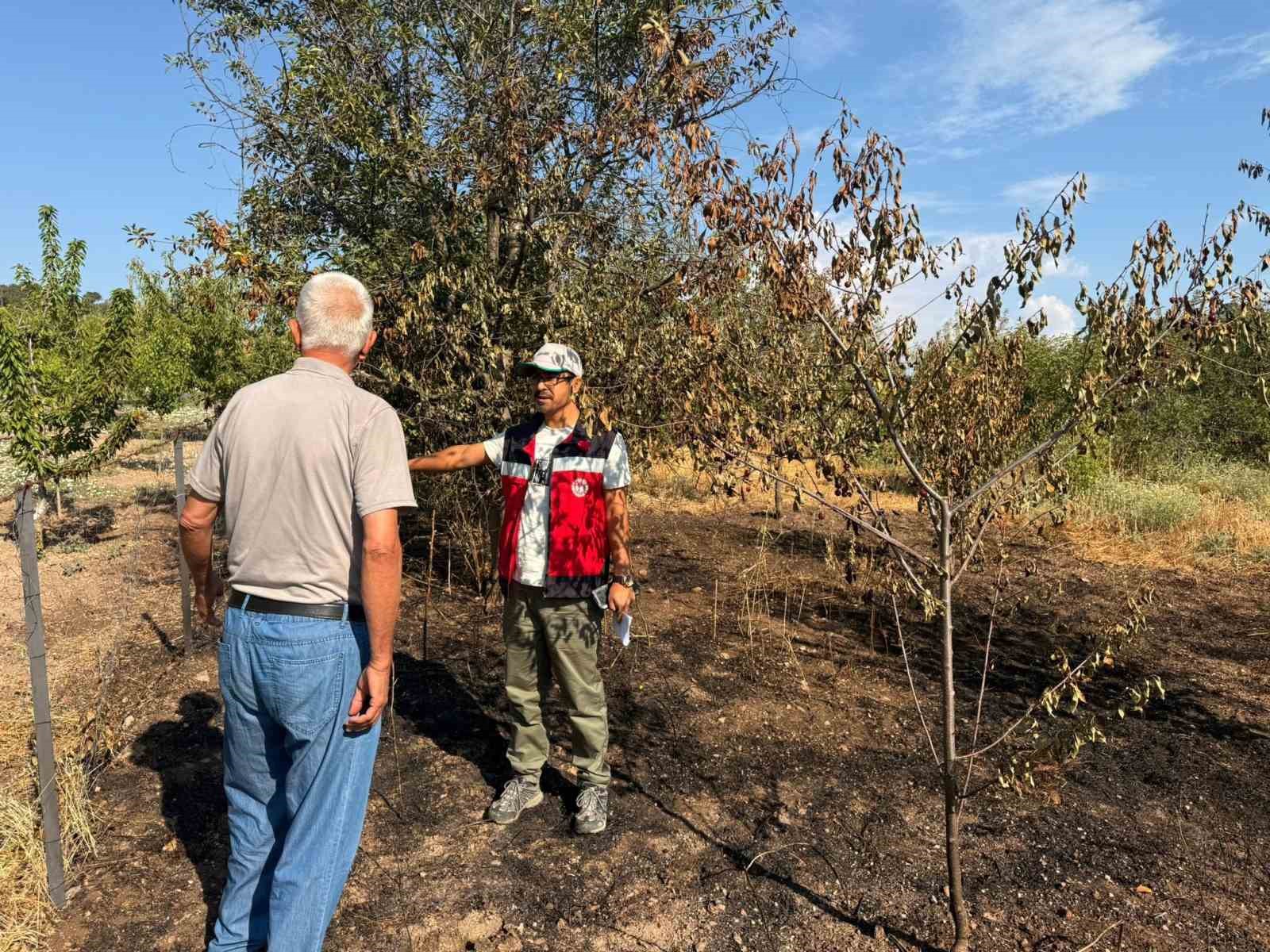 Şaphane’de meyve bahçesindeki yangın sonrası hasar tespit çalışması