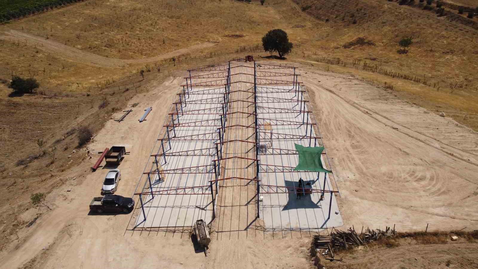 Muhtar, hayvan ithalatına karşı besihane kuruyor