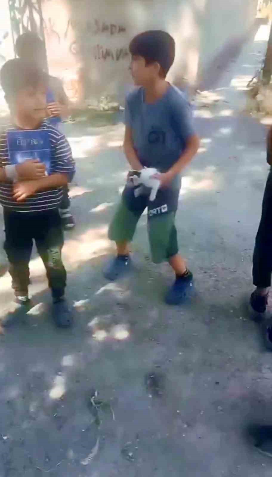 Kuyuda mahsur kalan kedinin yardımına çocuklar yetişti
