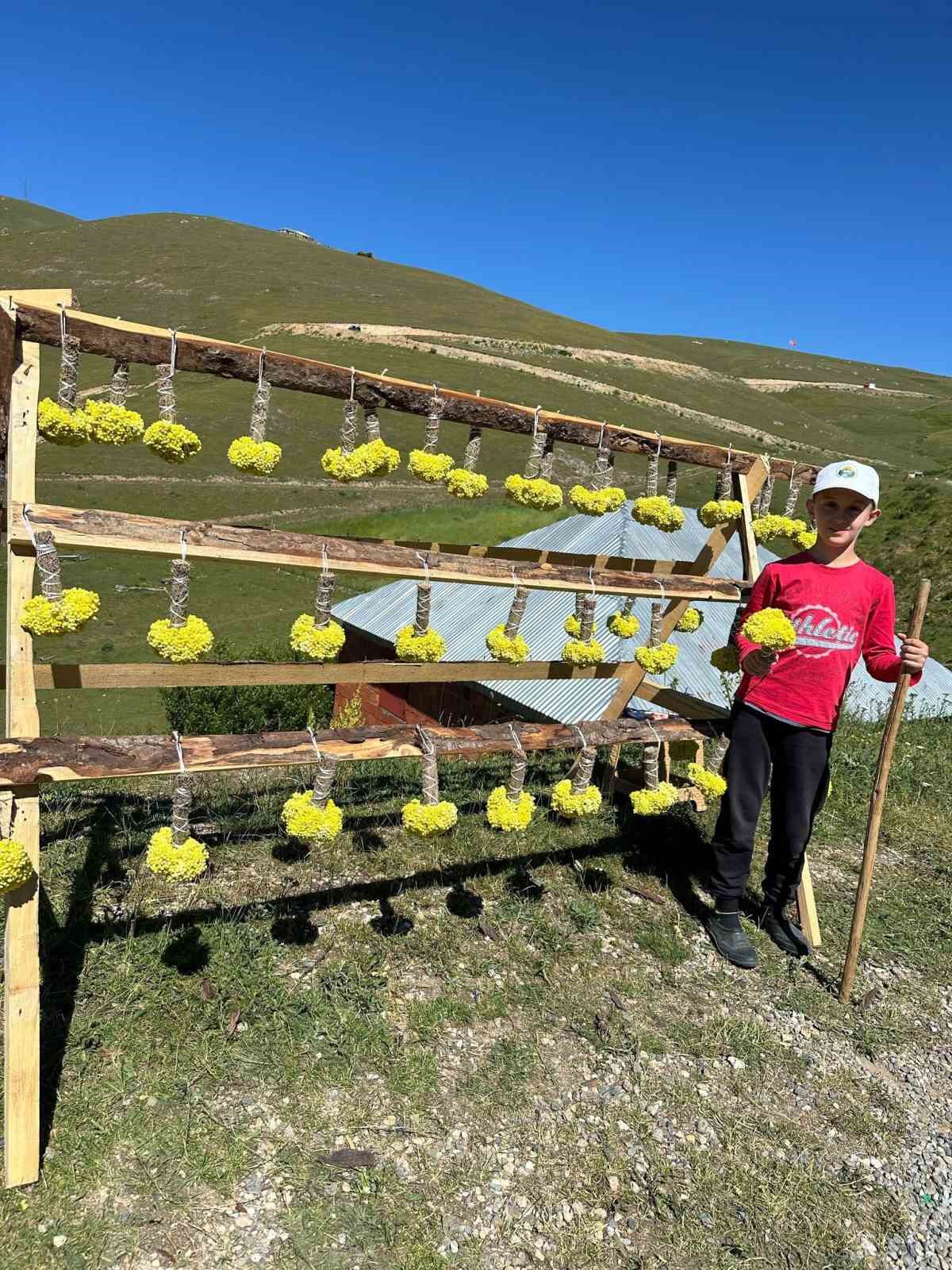 Yaylada çiçek satarak harçlıklarını kazanıyorlar