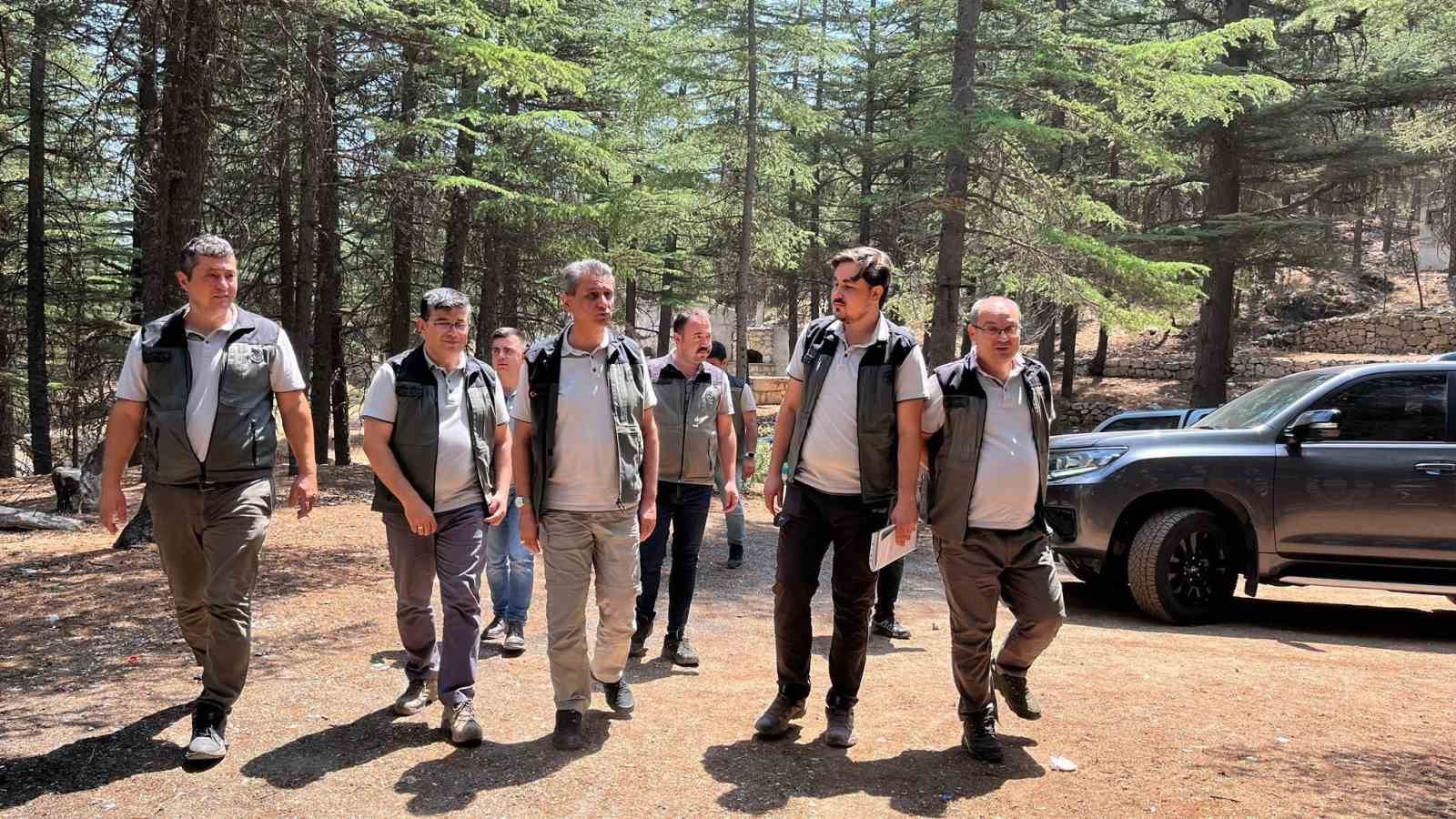 Mersin Orman Bölge Müdürü Gülnar’daki sahalarda incelemelerde bulundu