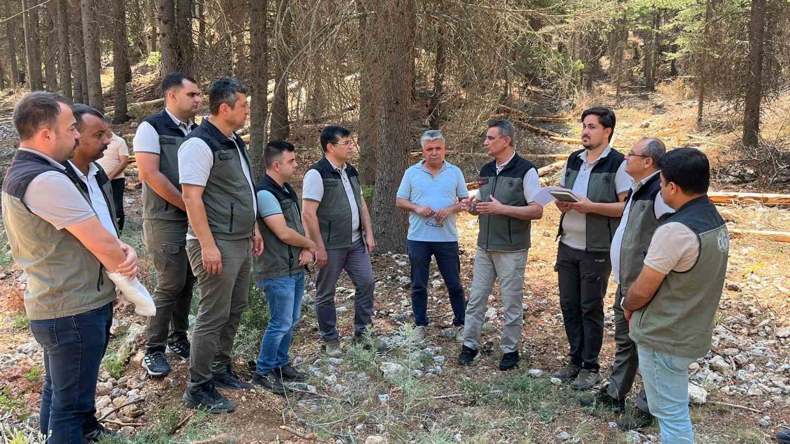 Mersin Orman B&ouml;lge M&uuml;d&uuml;r&uuml; G&uuml;lnar&rsquo;daki sahalarda incelemelerde bulundu
