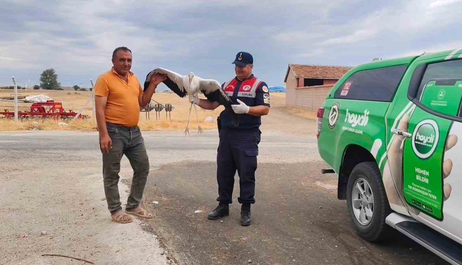 Sorgun’da bulunan yaralı leylek tedavi altına alındı