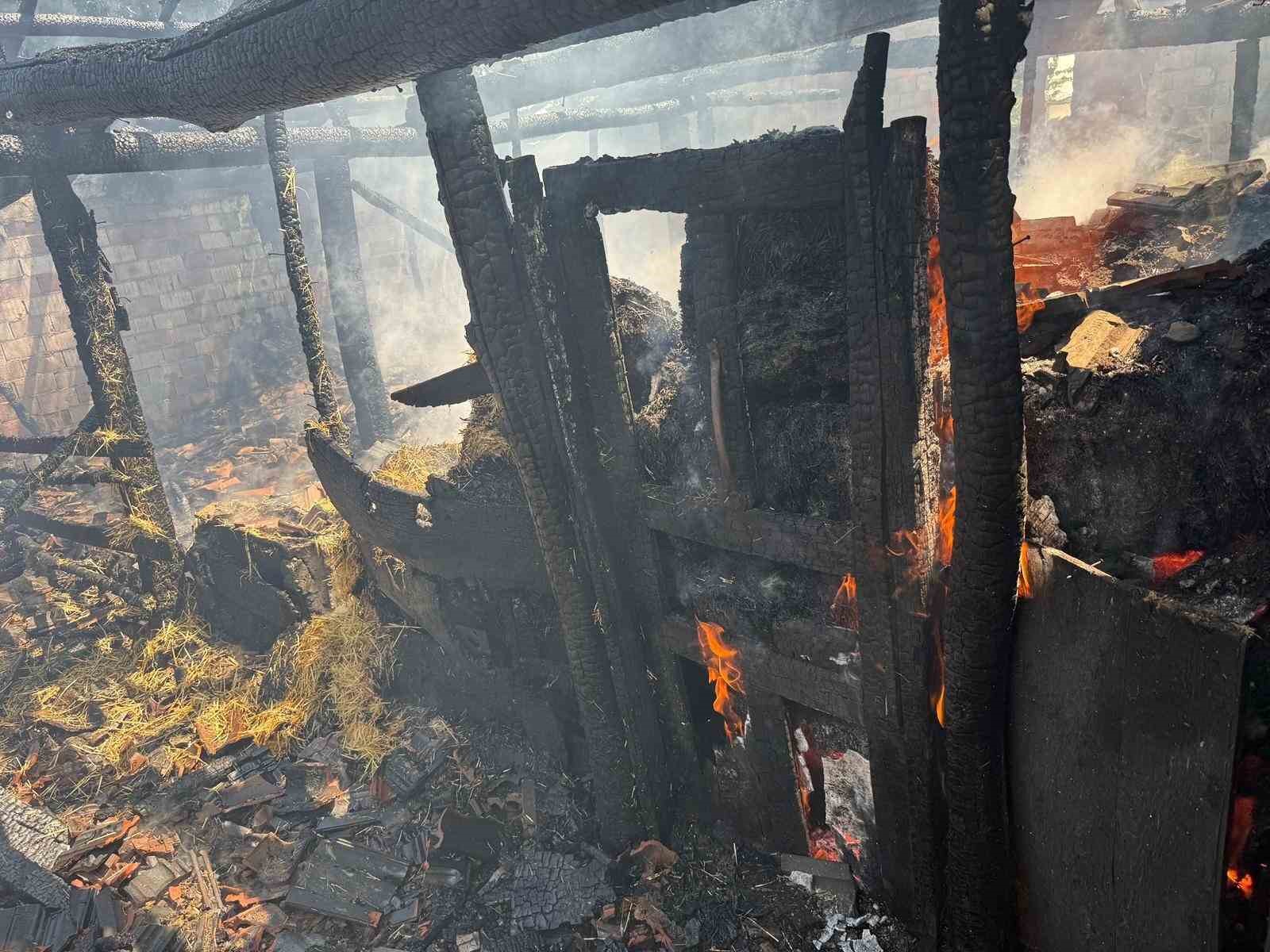 Yaprak pişirilirken çıkan yangın ahıra sıçradı, 7 büyükbaş hayvan telef oldu