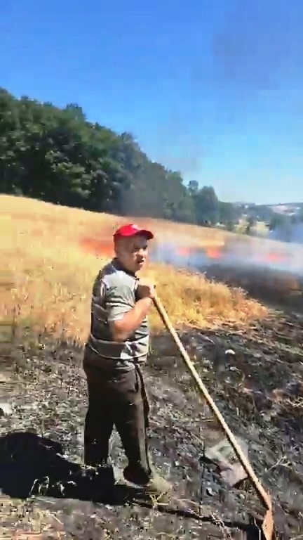 1 yıllık emek kül oldu, orman son anda kurtarıldı
