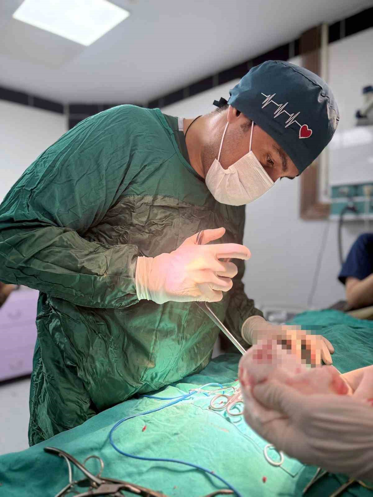 Omuriliğinden havalı t&uuml;fekle vurulan kedi tedavi altına alındı
