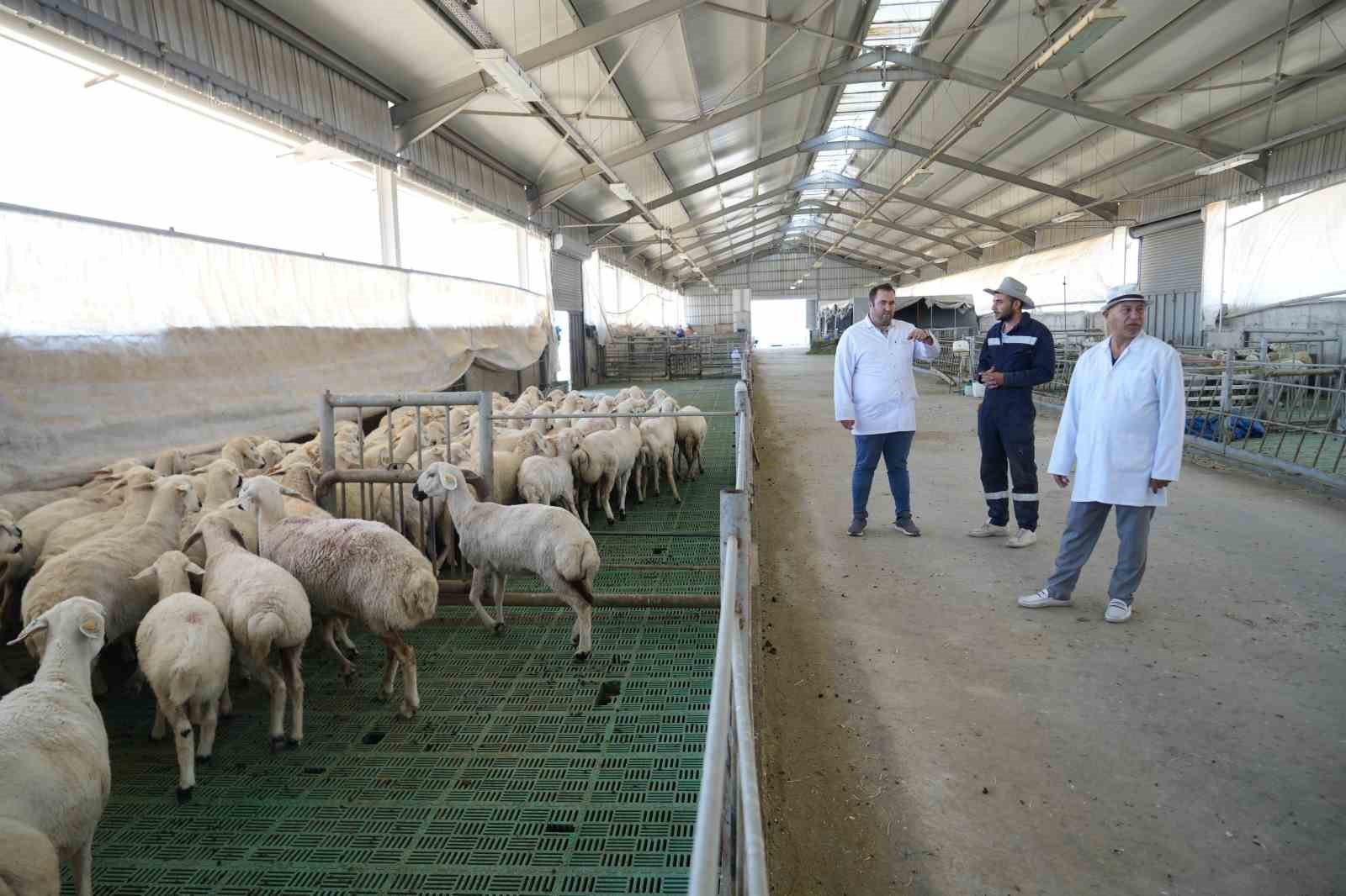 Niğde’de geleceğin ziraat mühendisleri sınıfta eğitim, sahada deneyim kazanıyor