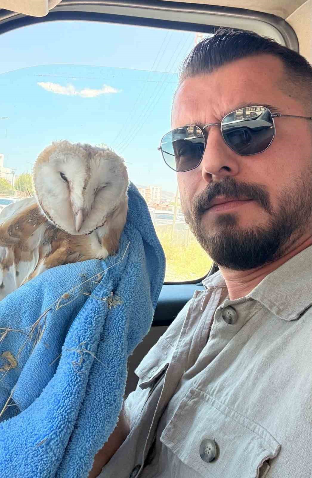 Adıyaman’da bitkin halde Bayağı Peçeli Baykuş bulundu