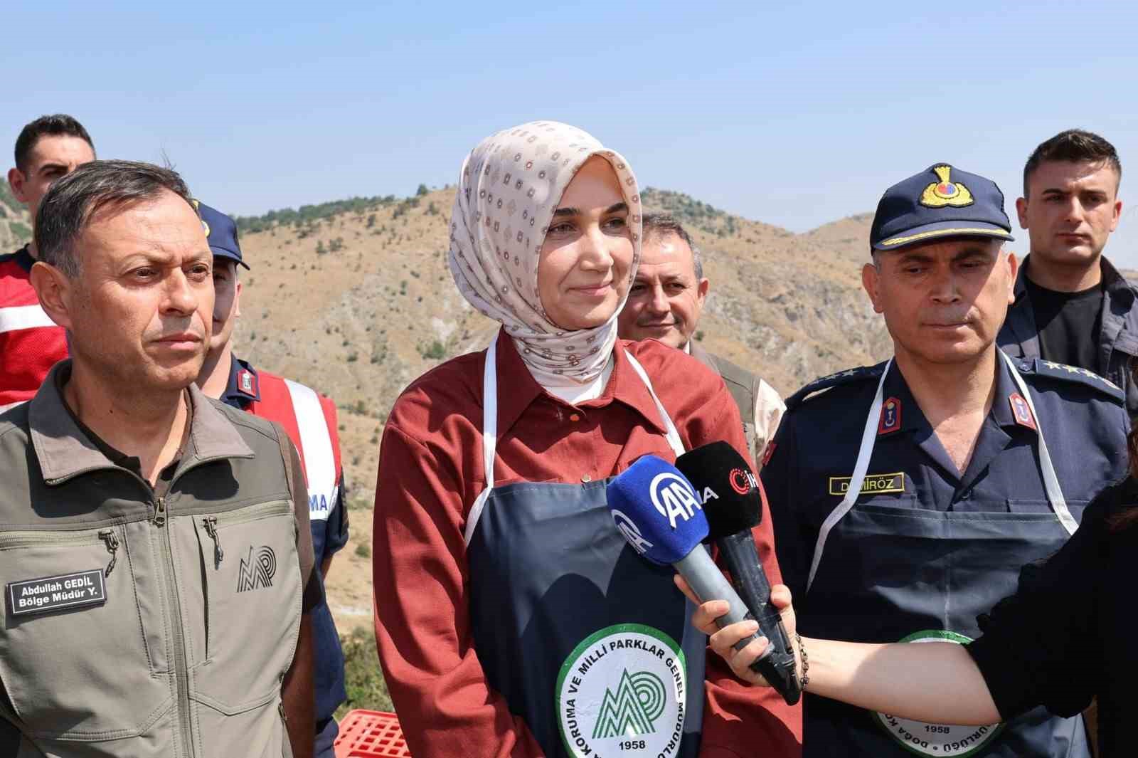 Vali Yiğitbaşı: "Kenelere karşı keklik timi görevde"