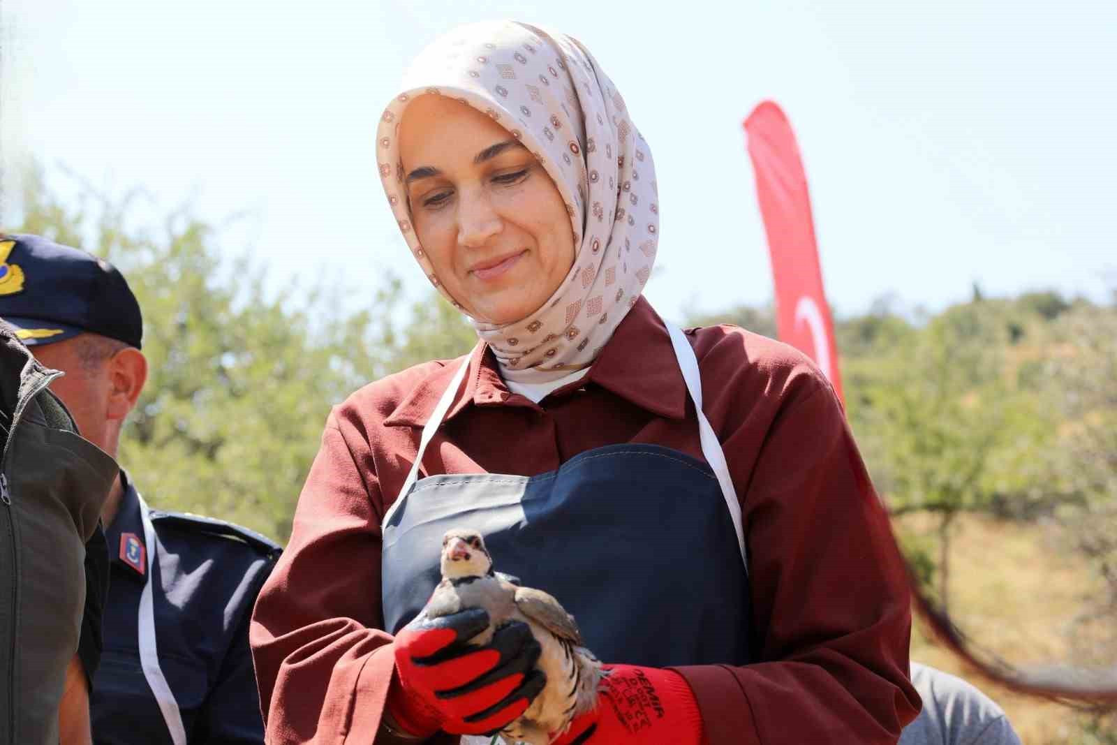 Vali Yiğitbaşı: "Kenelere karşı keklik timi görevde"